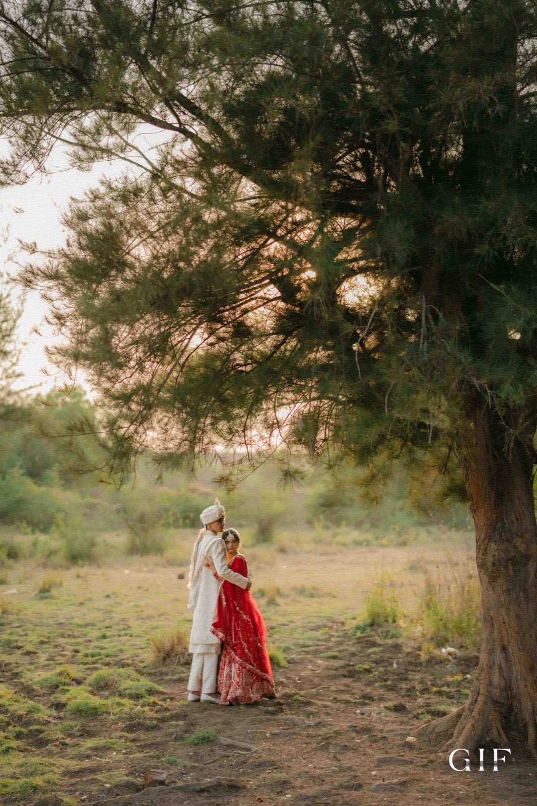 Abhishek and Mansi standing together beneath a large tree